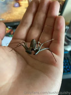 Sushisquishy OnlyFans Leaked Free Thumbnail Picture - #s04e2R2Q4r