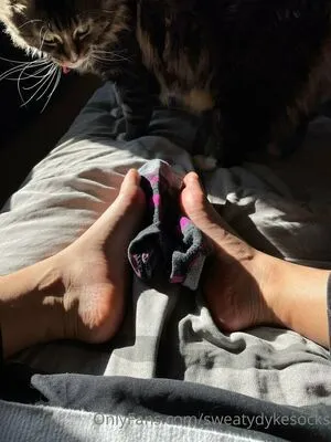Sweatydykesocks OnlyFans Leaked Free Thumbnail Picture - #OxpY5JJ0IC