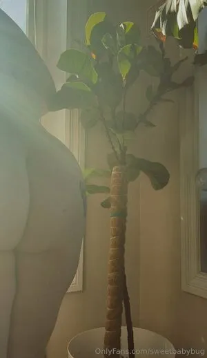 Sweetbabybug OnlyFans Leaked Free Thumbnail Picture - #0G3j1AN3ER