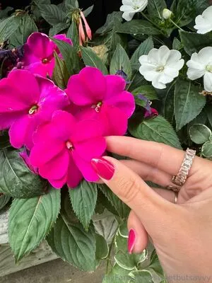 Sweetbutsavvy OnlyFans Leaked Free Thumbnail Picture - #xEpyIZCPeq