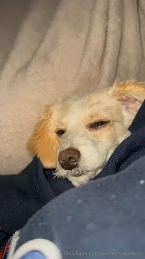 Sweetisabellaxo OnlyFans Leaked Free Thumbnail Picture - #bsqzGmyQ7i