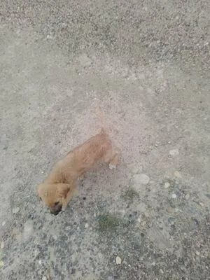 Swiss Girl Vanessa OnlyFans Leaked Free Thumbnail Picture - #5cdobRu4zU