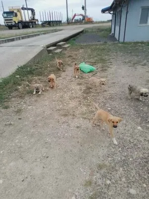 Swiss Girl Vanessa OnlyFans Leaked Free Thumbnail Picture - #5ghAazDCIt