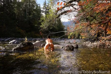 tabbynoname OnlyFans Leaked Free Thumbnail Picture - #EhbhrVbB3H