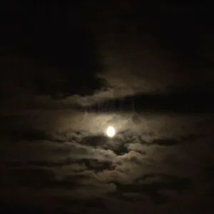 Tametheseimpalas OnlyFans Leaked Free Thumbnail Picture - #NWhrLso6RG