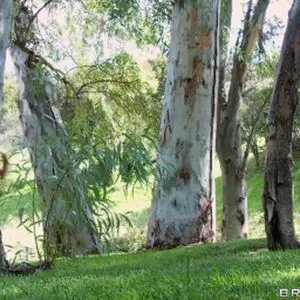 Tamiris Alves OnlyFans Leaked Free Thumbnail Picture - #ZIVCYXCuEr