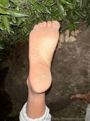 Tannitaxxx26 OnlyFans Leaked Free Thumbnail Picture - #UBPPv3MGu8