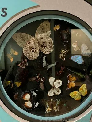 Tantilising Tushy OnlyFans Leaked Free Thumbnail Picture - #7AtKBIx7ia