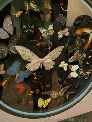 Tantilising Tushy OnlyFans Leaked Free Thumbnail Picture - #aFT7QZUq2G