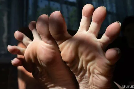 Tastytaurustoes OnlyFans Leaked Free Thumbnail Picture - #h7erH2TwqM