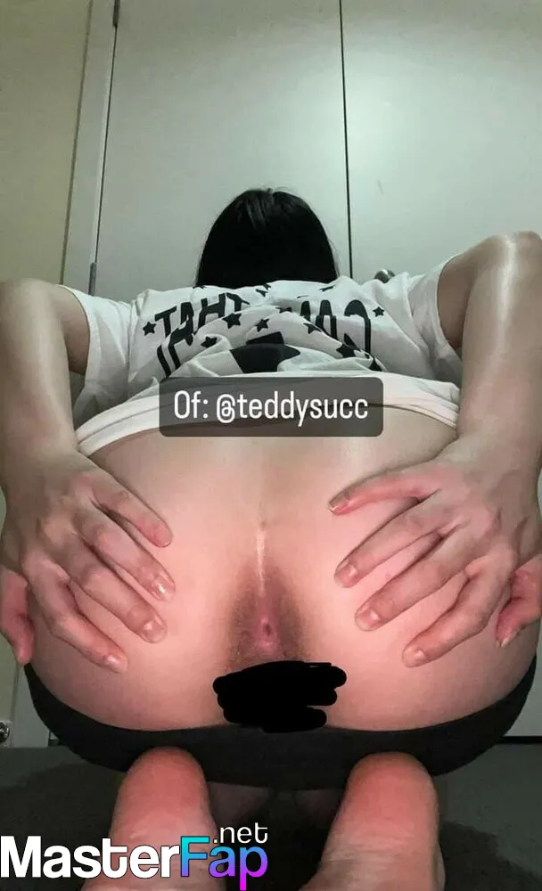 teddysucc
