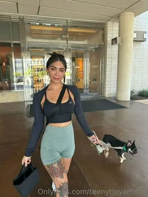 Teenytinyartistic OnlyFans Leaked Free Thumbnail Picture - #gB8eo39R7E