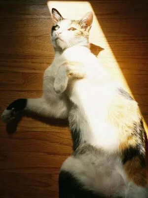 Thatgirlsedona OnlyFans Leaked Free Thumbnail Picture - #Q7T0lAWNJh