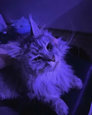 Thatilla Coelho OnlyFans Leaked Free Thumbnail Picture - #z1TsXWm8Nc