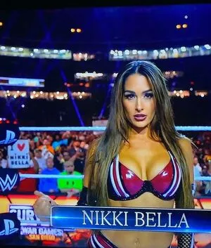 The Bella Twins: OnlyFans Leaked Free Thumbnail Picture - #1Kp0F2cIjL