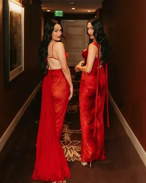 The Bella Twins: OnlyFans Leaked Free Thumbnail Picture - #6G7bqG9HDR