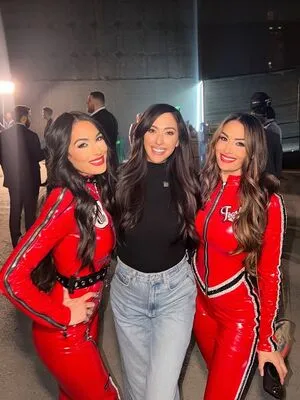 The Bella Twins: OnlyFans Leaked Free Thumbnail Picture - #6efuXeZYDM