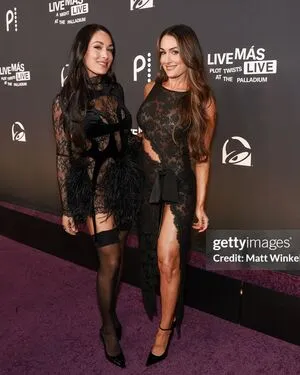 The Bella Twins: OnlyFans Leaked Free Thumbnail Picture - #80HQtTaNLm