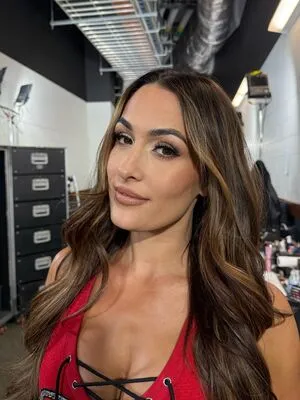 The Bella Twins: OnlyFans Leaked Free Thumbnail Picture - #8P5uiX5ZVn