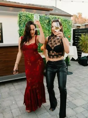 The Bella Twins: OnlyFans Leaked Free Thumbnail Picture - #8hiX4LFLGU