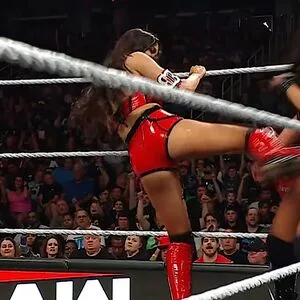 The Bella Twins: OnlyFans Leaked Free Thumbnail Picture - #8rDrRTCFX5
