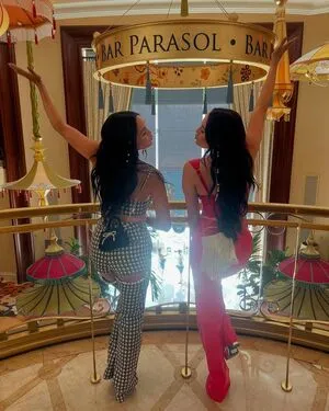 The Bella Twins: OnlyFans Leaked Free Thumbnail Picture - #AR65LGoPMI