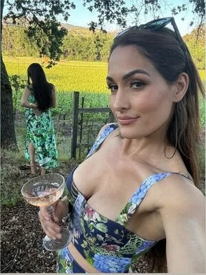 The Bella Twins: OnlyFans Leaked Free Thumbnail Picture - #Aq1gnWLaJ9
