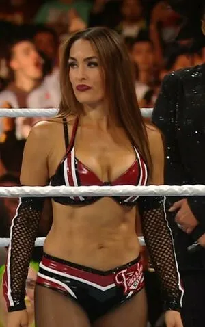 The Bella Twins: OnlyFans Leaked Free Thumbnail Picture - #DD3T8OS3dC