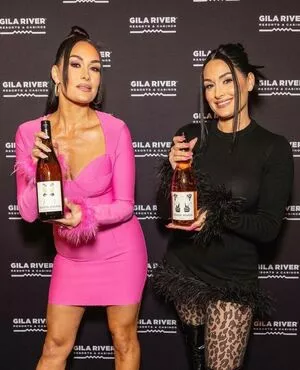 The Bella Twins: OnlyFans Leaked Free Thumbnail Picture - #F7V9L7qGfw