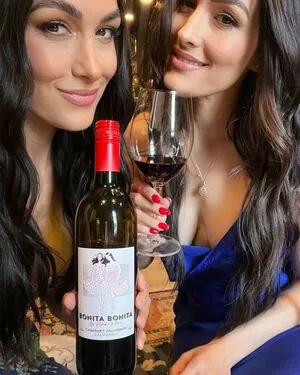 The Bella Twins: OnlyFans Leaked Free Thumbnail Picture - #GA90NLb05N