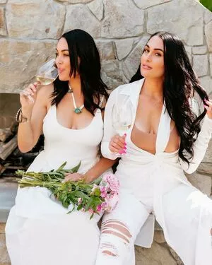 The Bella Twins: OnlyFans Leaked Free Thumbnail Picture - #GleM4fXxDs