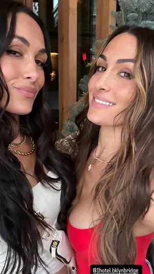 The Bella Twins: OnlyFans Leaked Free Thumbnail Picture - #H3JlC8SGCf