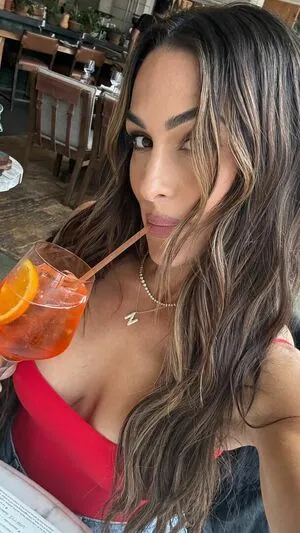 The Bella Twins: OnlyFans Leaked Free Thumbnail Picture - #HvX08HBclX
