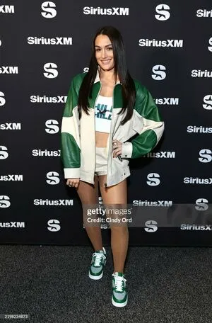 The Bella Twins: OnlyFans Leaked Free Thumbnail Picture - #ME6zevbS0q