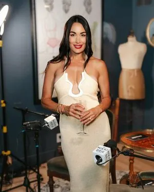 The Bella Twins: OnlyFans Leaked Free Thumbnail Picture - #OJnkfxHtM9