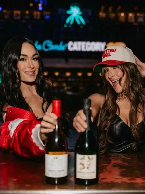 The Bella Twins: OnlyFans Leaked Free Thumbnail Picture - #Q3qAqJB3wi