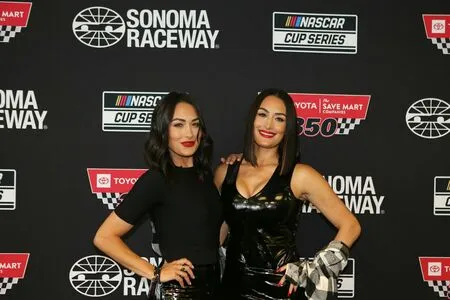 The Bella Twins: OnlyFans Leaked Free Thumbnail Picture - #UU5wrZbFvo