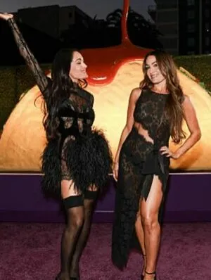 The Bella Twins: OnlyFans Leaked Free Thumbnail Picture - #WEYJwOGXP3