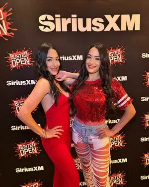 The Bella Twins: OnlyFans Leaked Free Thumbnail Picture - #Z7bS6AN2TL