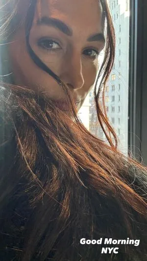 The Bella Twins: OnlyFans Leaked Free Thumbnail Picture - #cBL1AP8wAp