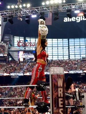 The Bella Twins: OnlyFans Leaked Free Thumbnail Picture - #hsLSxOFCej