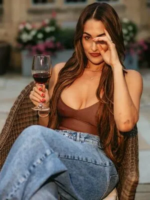 The Bella Twins: OnlyFans Leaked Free Thumbnail Picture - #iQfsqL6TLo