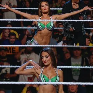 The Bella Twins: OnlyFans Leaked Free Thumbnail Picture - #joDcB552Zi