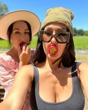 The Bella Twins: OnlyFans Leaked Free Thumbnail Picture - #kqRIvS2Bg2