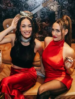 The Bella Twins: OnlyFans Leaked Free Thumbnail Picture - #o713xWJURZ