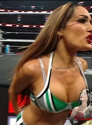 The Bella Twins: OnlyFans Leaked Free Thumbnail Picture - #ojxYhmxwkJ