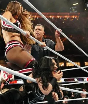 The Bella Twins: OnlyFans Leaked Free Thumbnail Picture - #pn3QB02Zr7