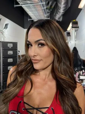 The Bella Twins: OnlyFans Leaked Free Thumbnail Picture - #qdwNQXyIPR