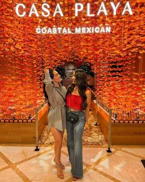The Bella Twins: OnlyFans Leaked Free Thumbnail Picture - #rb2ddpGSdB
