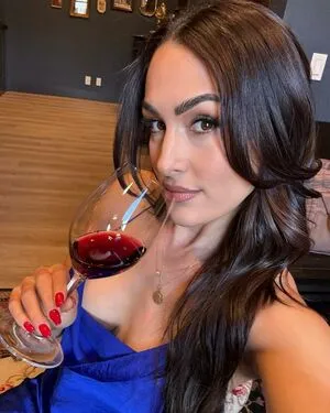 The Bella Twins: OnlyFans Leaked Free Thumbnail Picture - #vhcYGy6rht